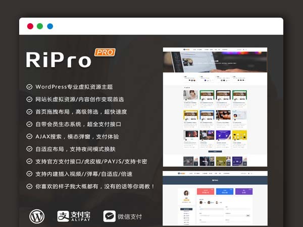 最新日主题RIPro主题 6.2版本 Wordpress模板 虚拟资源素材下载主题网站源码